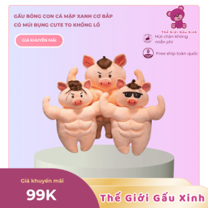 Gấu bông heo tập gym, heo cơ bắp sáu múi