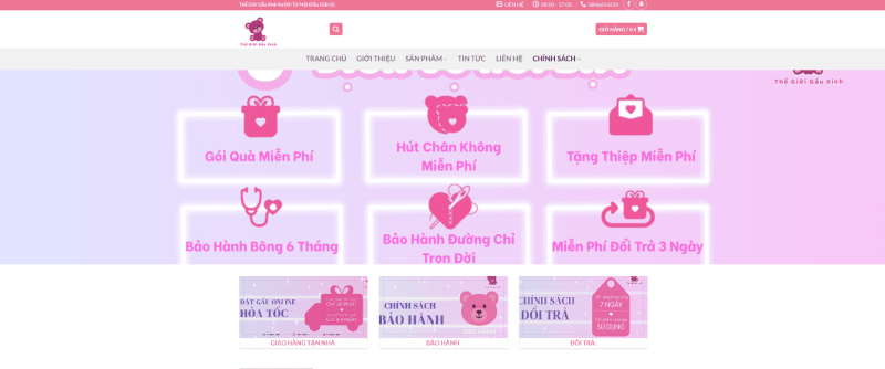 trang chính sách cảu trang web thegioigauxinh
